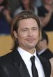 Brad Pitt, la cara del millón de dólares