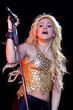 Shakira no realizaría un desnudo total